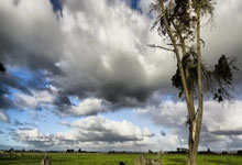 开云体育直播-中国羽毛球队力克印度羽毛球队，李宗伟爆发神勇的简单介绍