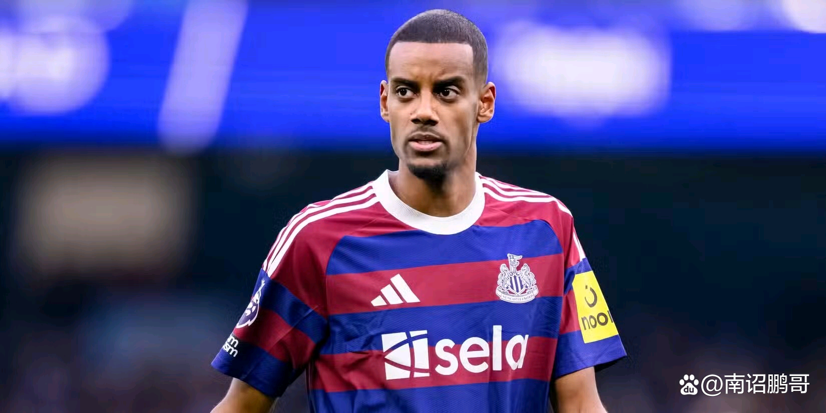 包含海布里主帅赞誉年轻球员,球队前途一片光明的词条 包含海布里主帅赞誉年轻球员,球队前途一片光明的词条